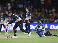 看到更多精 看到更多精